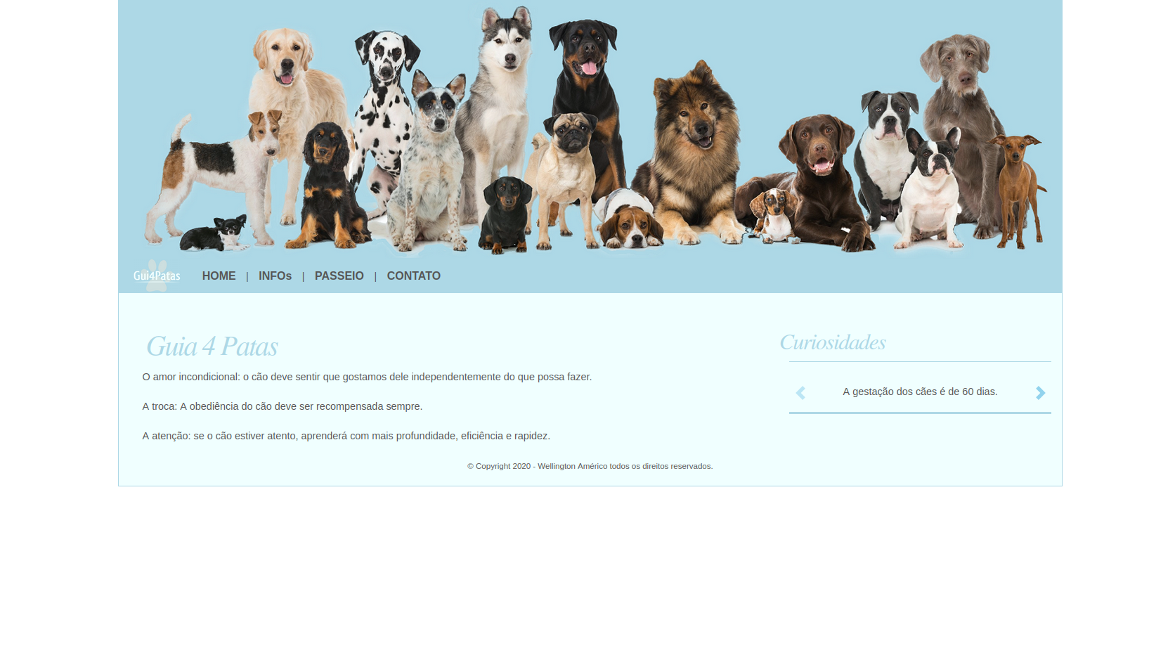 Guia 4 Patas